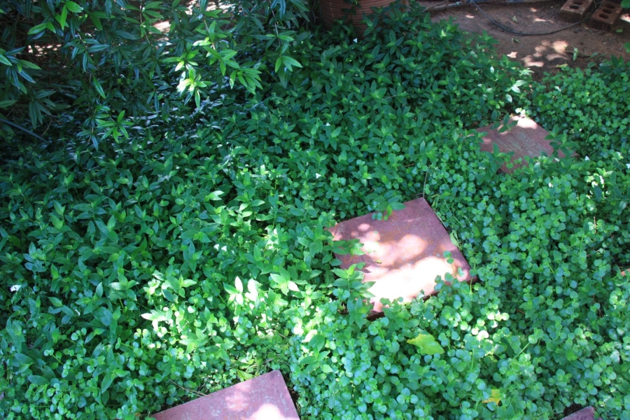 4 Bedroom Property for Sale in Fichardt Park Free State